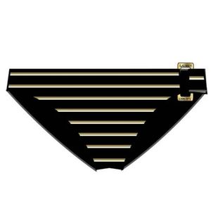 RALPH LAUREN Dylan Metallic Stripes Hipster Bottom